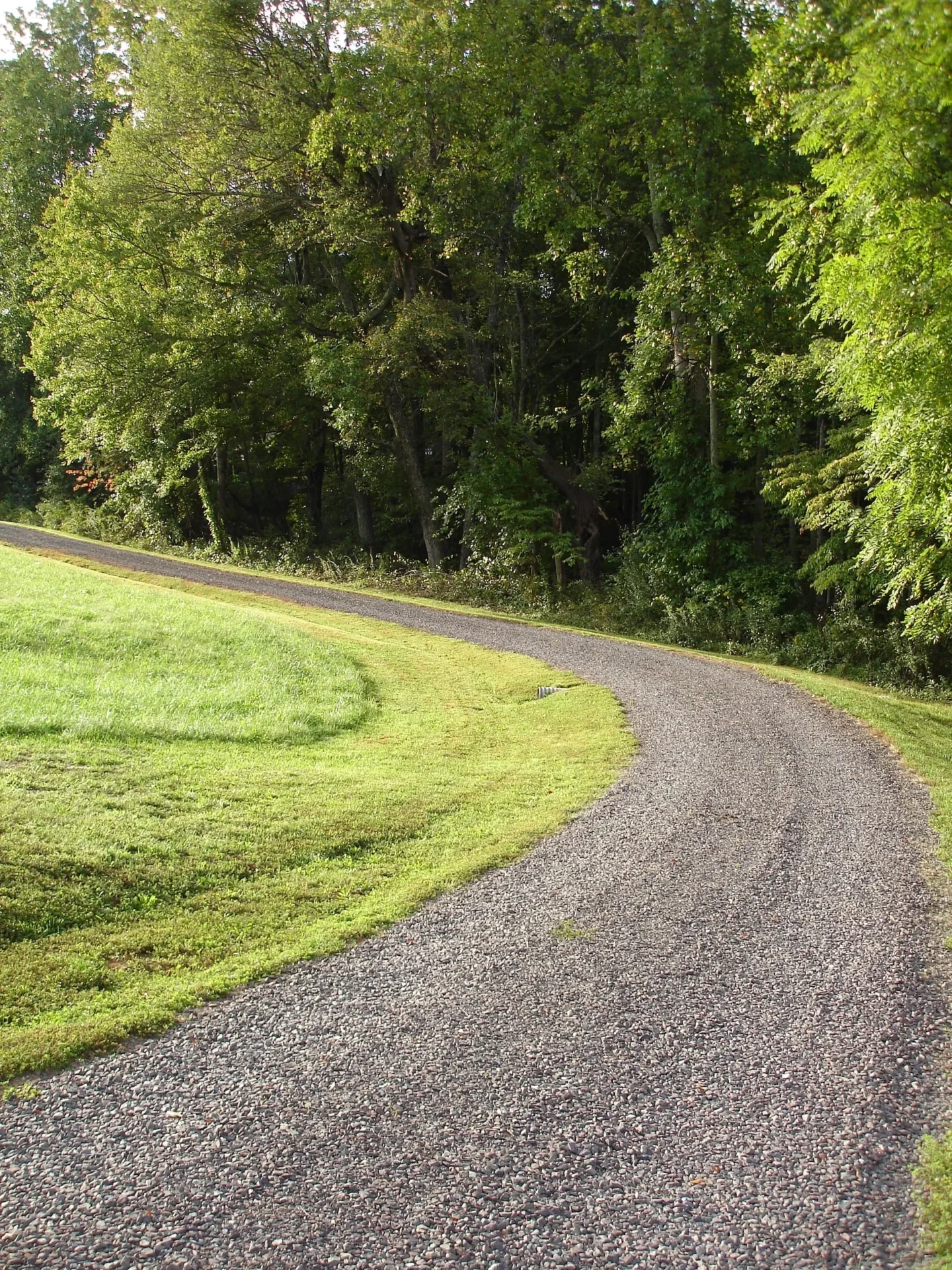 A road with grass and trees in the background.