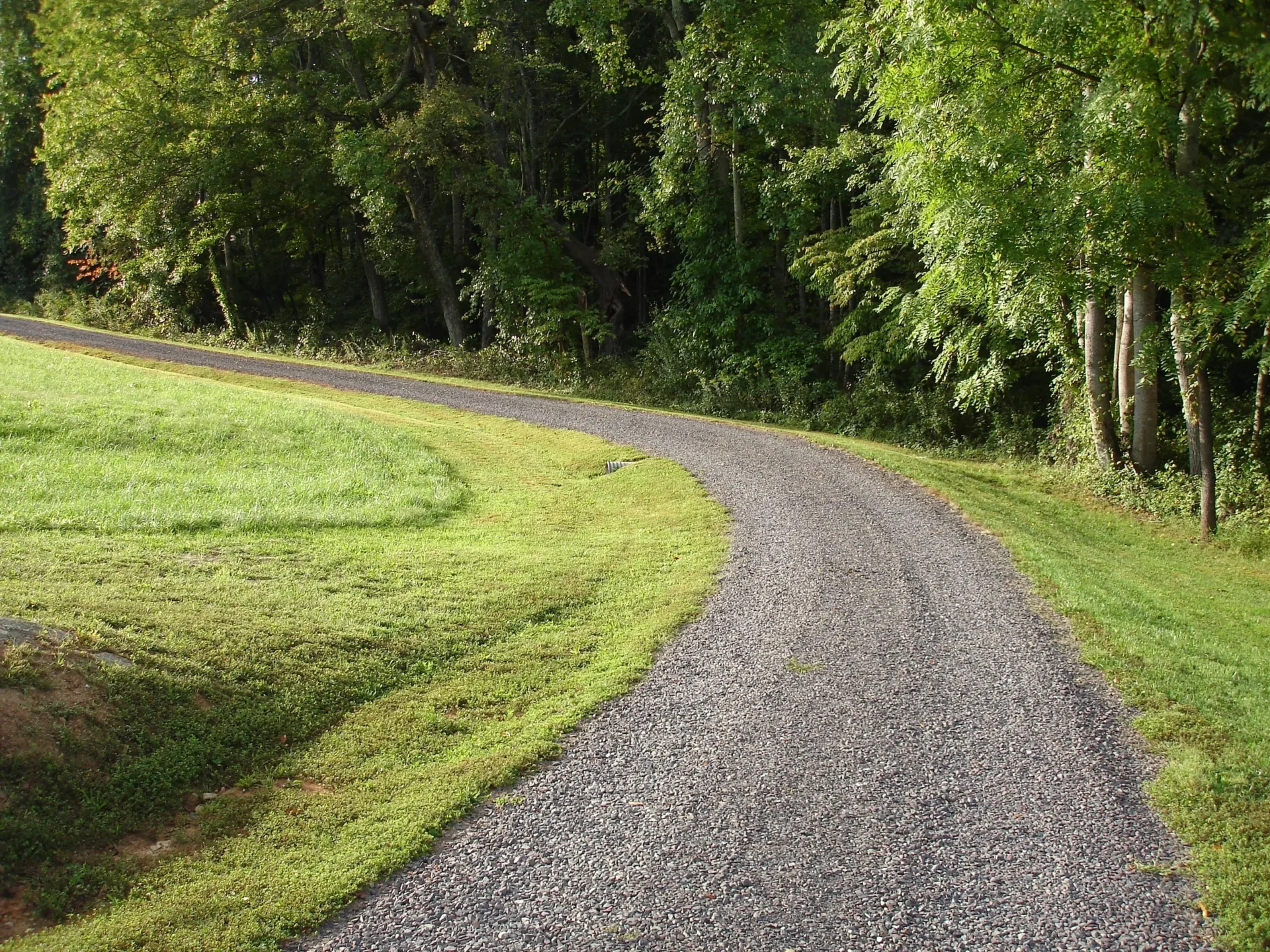 A road with grass and trees in the background.