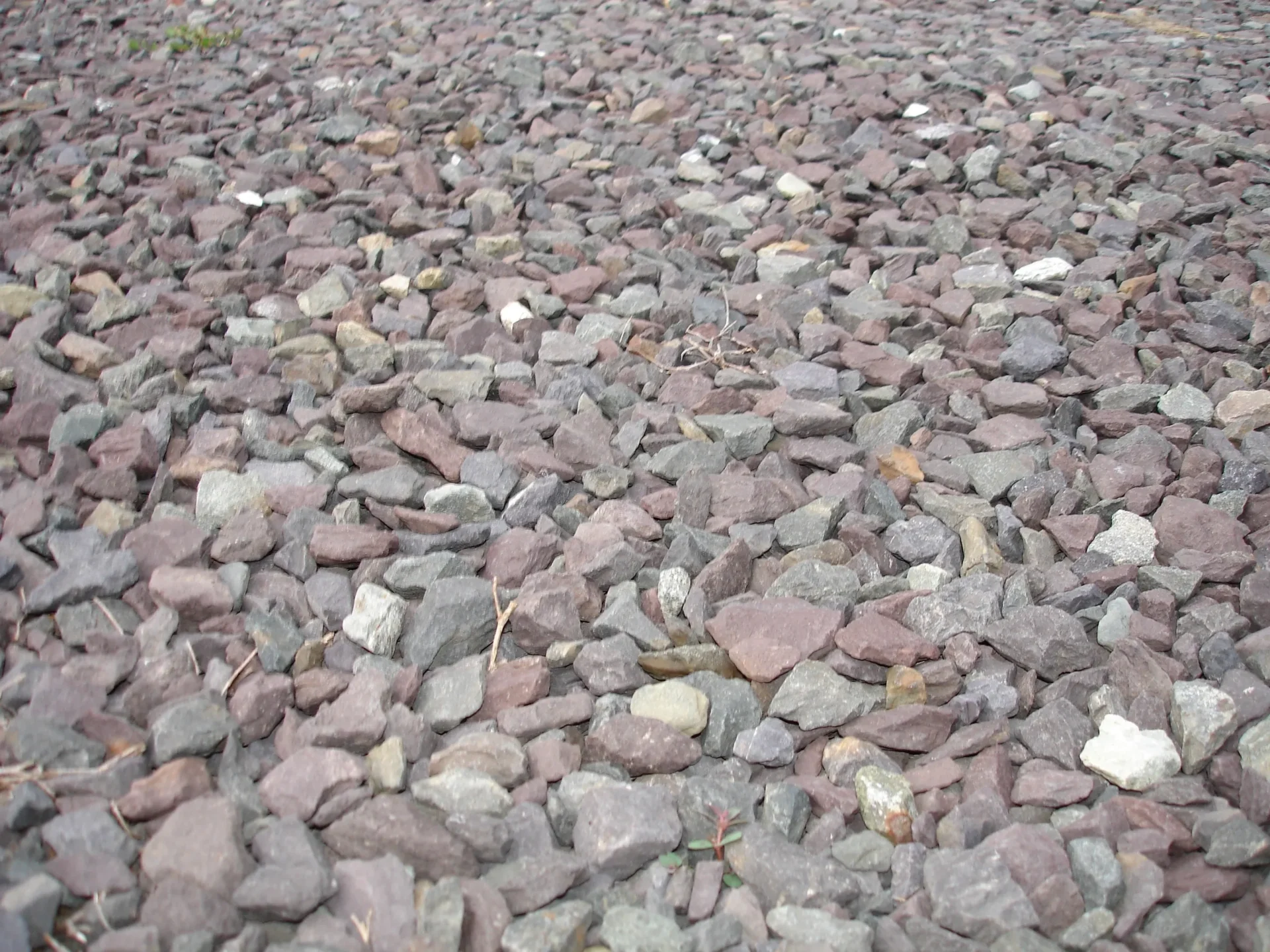A close up of some rocks on the ground