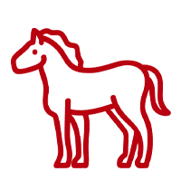 A red horse is drawn by lines on the ground.
